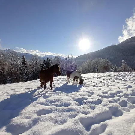 Rossweid Hut With A Fantastic View Stans