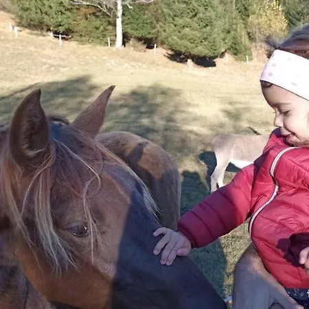 Rossweid Hut With A Fantastic View *