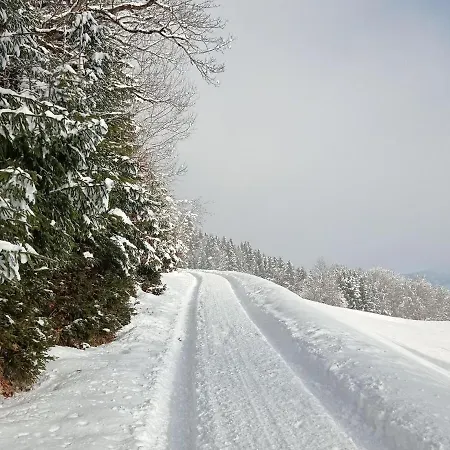 Rossweid Hut With A Fantastic View Prázdninový dům