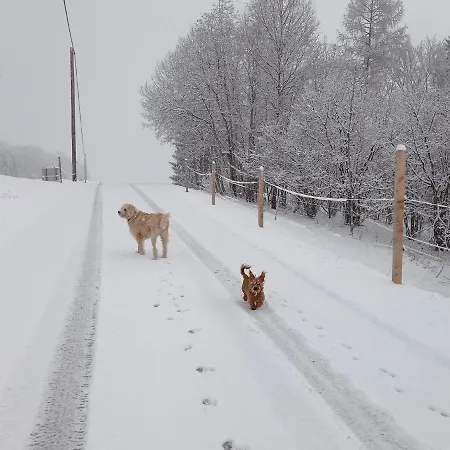 Rossweid Hut With A Fantastic View * Stans