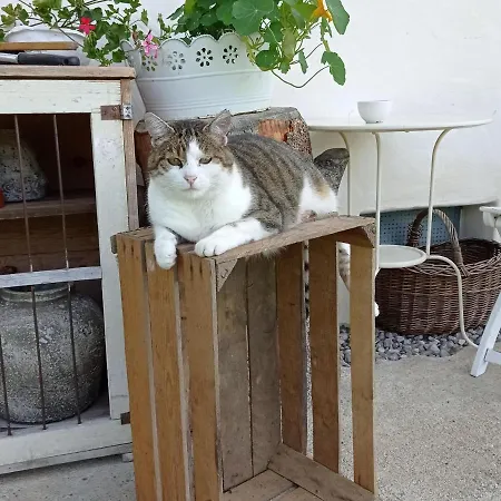 Rossweid Hut With A Fantastic View Prázdninový dům