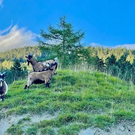 Prázdninový dům Rossweid Hut With A Fantastic View