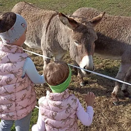 Rossweid Hut With A Fantastic View Prázdninový dům Stans