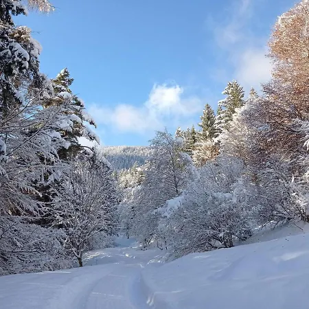 Rossweid Hut With A Fantastic View Stans