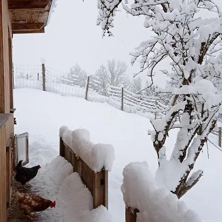 Rossweid Hut With A Fantastic View Holiday home