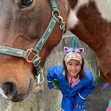 Rossweid Hut With A Fantastic View Holiday home *