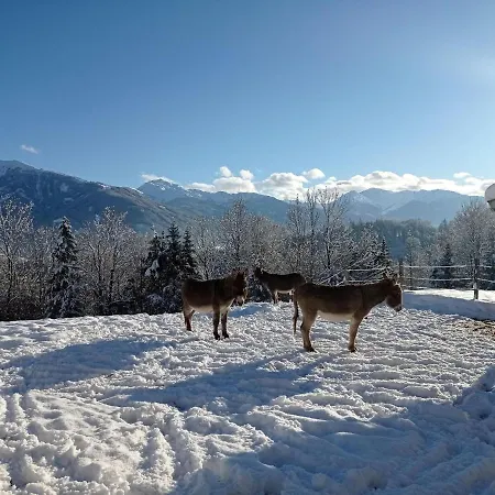 Rossweid Hut With A Fantastic View